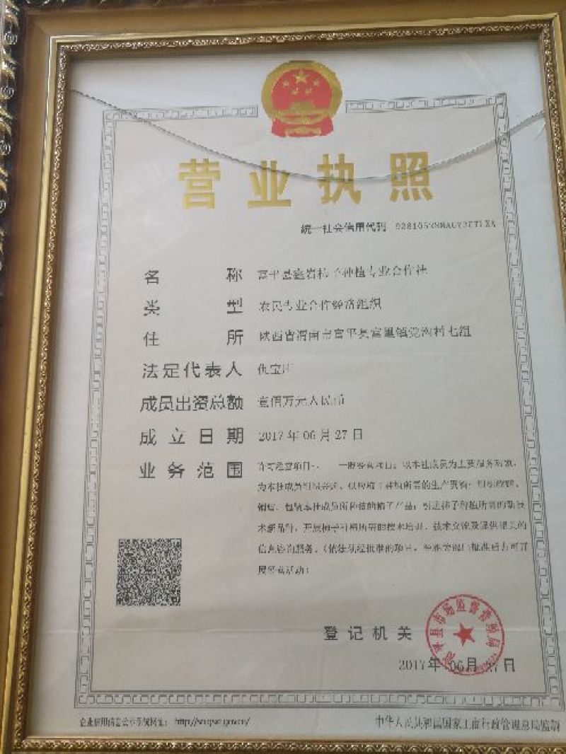 柿饼1两以下