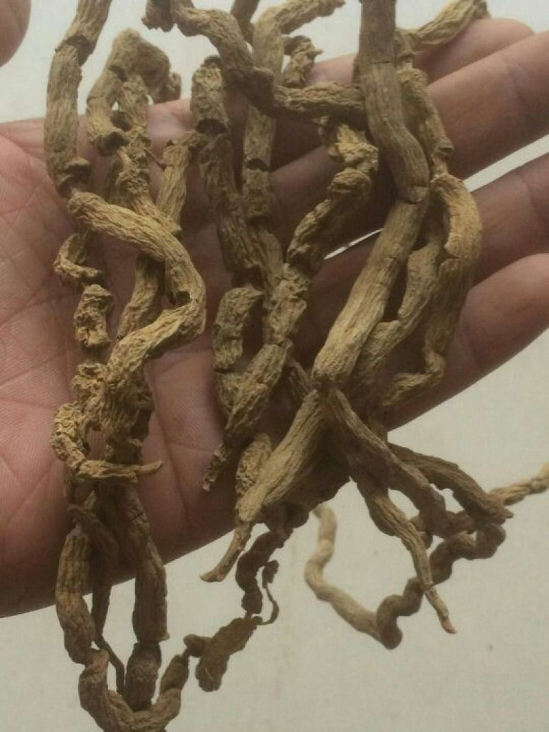 巴戟天圆条不抽芯