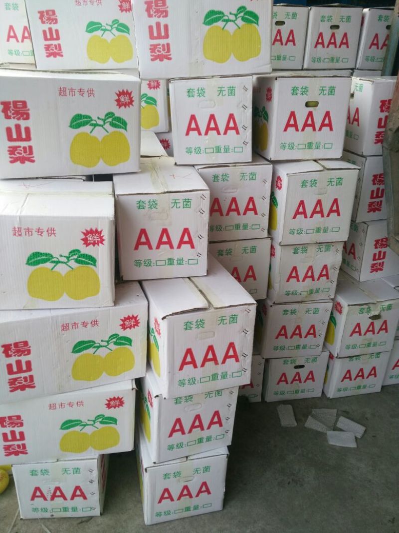 【推荐】安徽砀山酥梨光果，大量上市，果面干净，口感脆甜