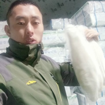 巴沙鱼
