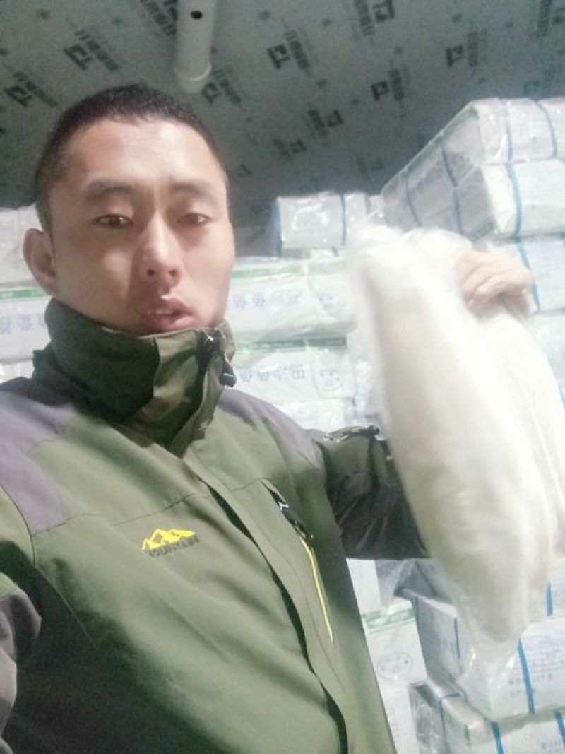 巴沙鱼