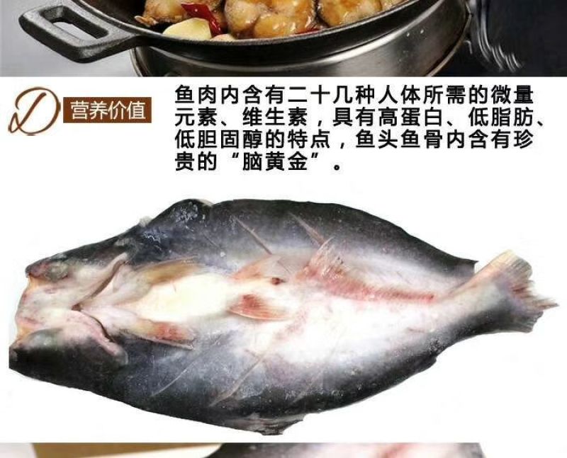 巴沙鱼