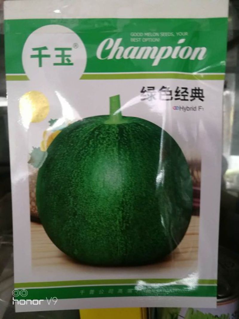 绿甜宝甜瓜种子