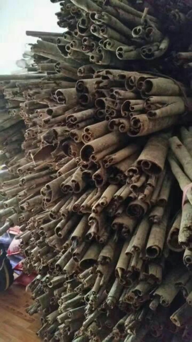 湖北省宣恩县椿木营富硒高含量籽油厚朴统货