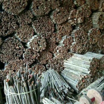 湖北省宣恩县椿木营富硒高含量籽油厚朴统货