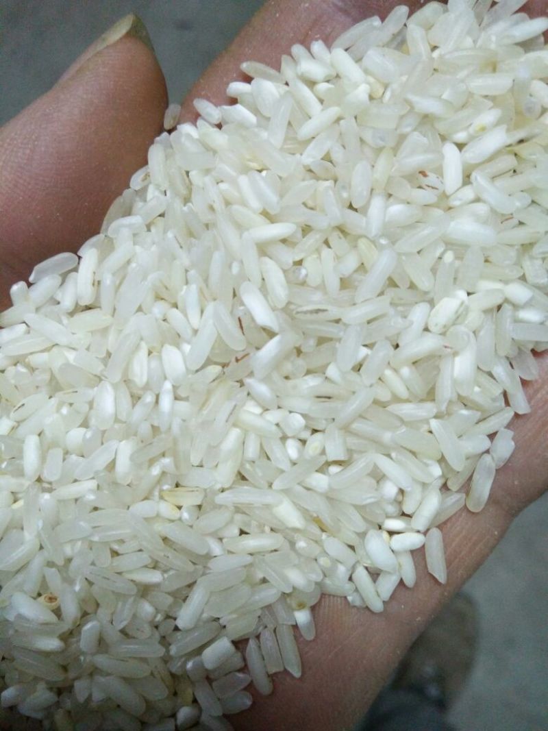 大米三级陈米