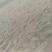 韭菜花种子98%以上