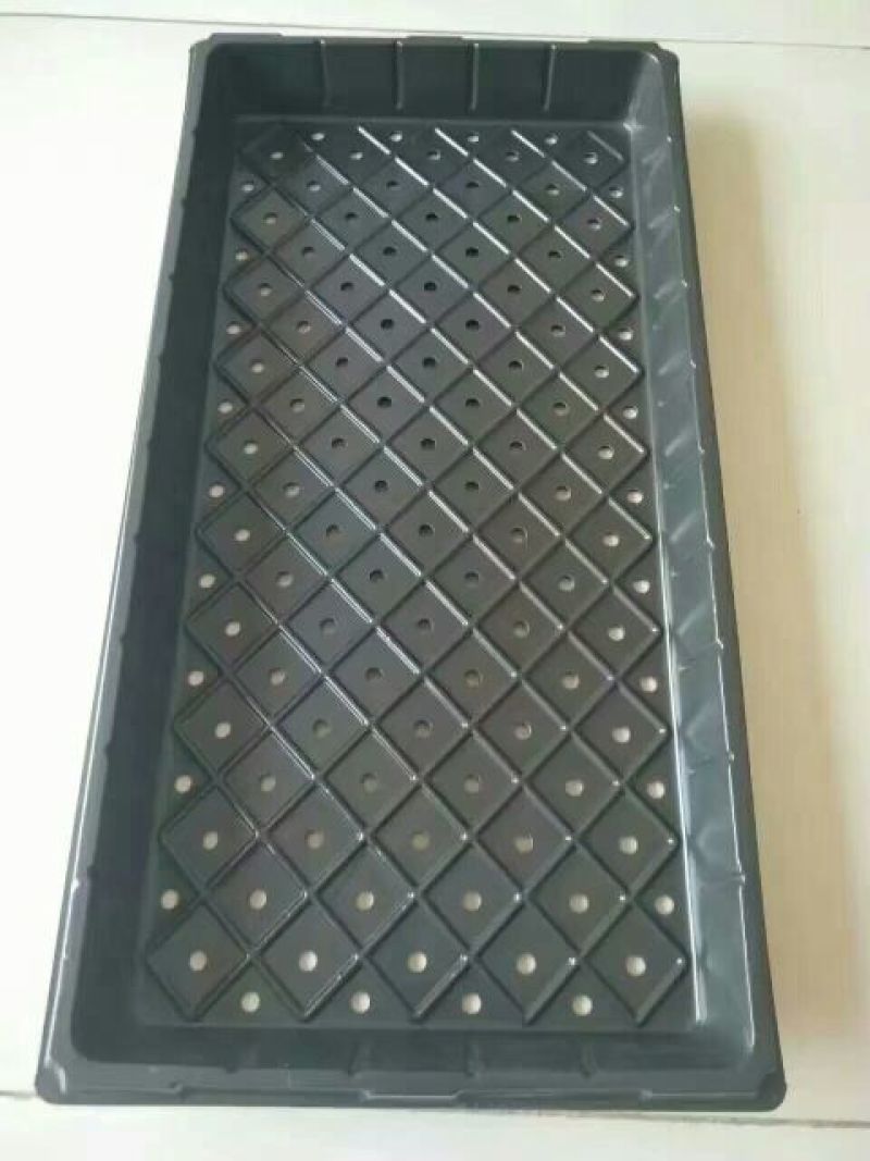穴盘