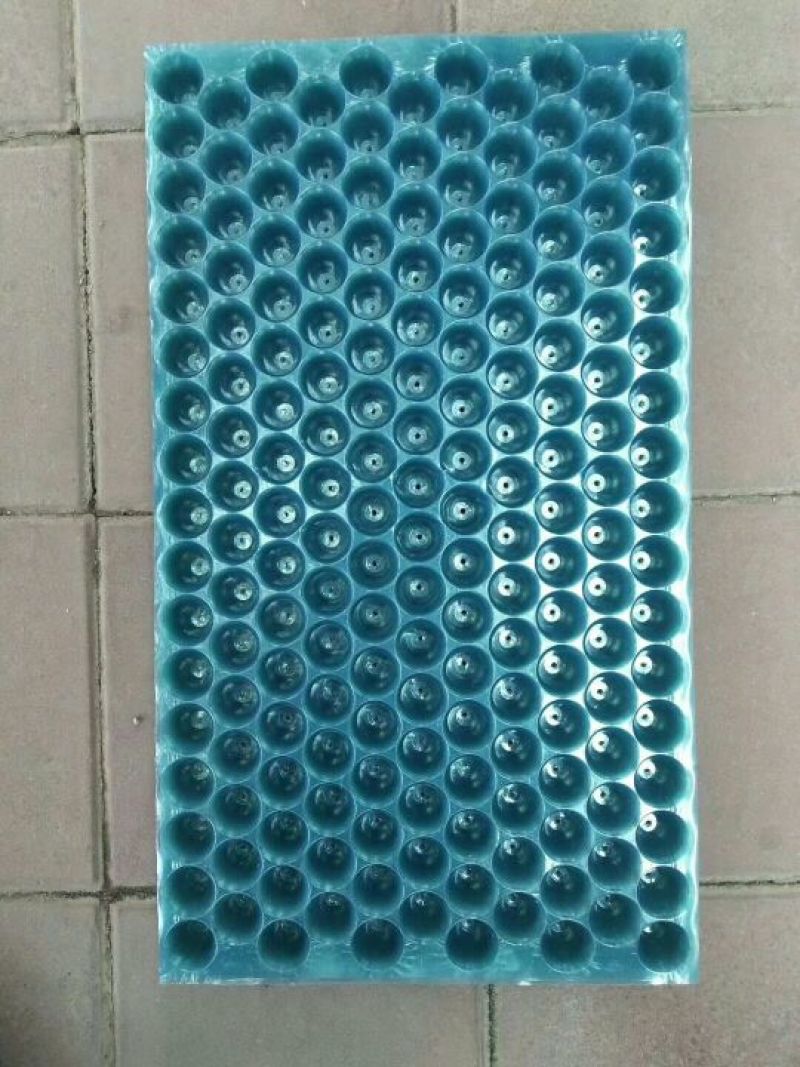 穴盘