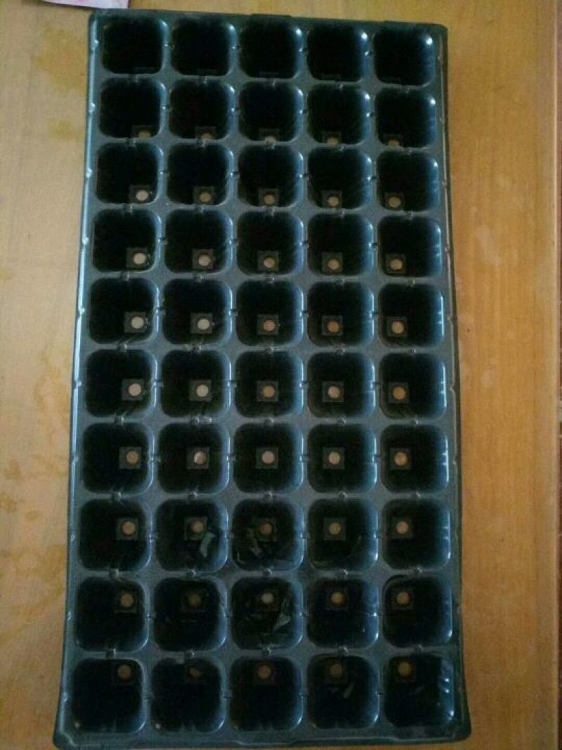 穴盘