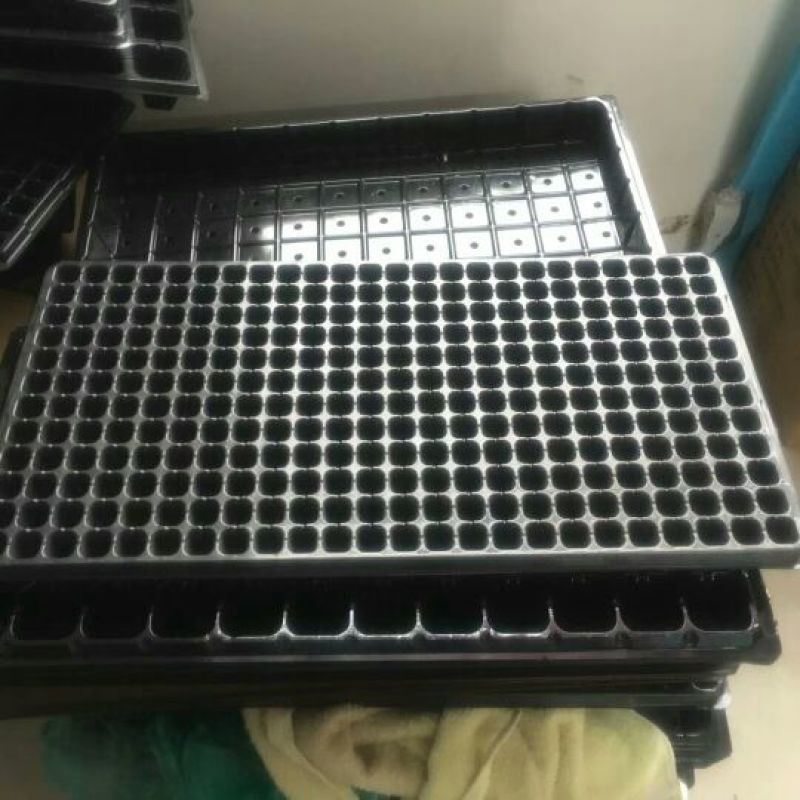 穴盘