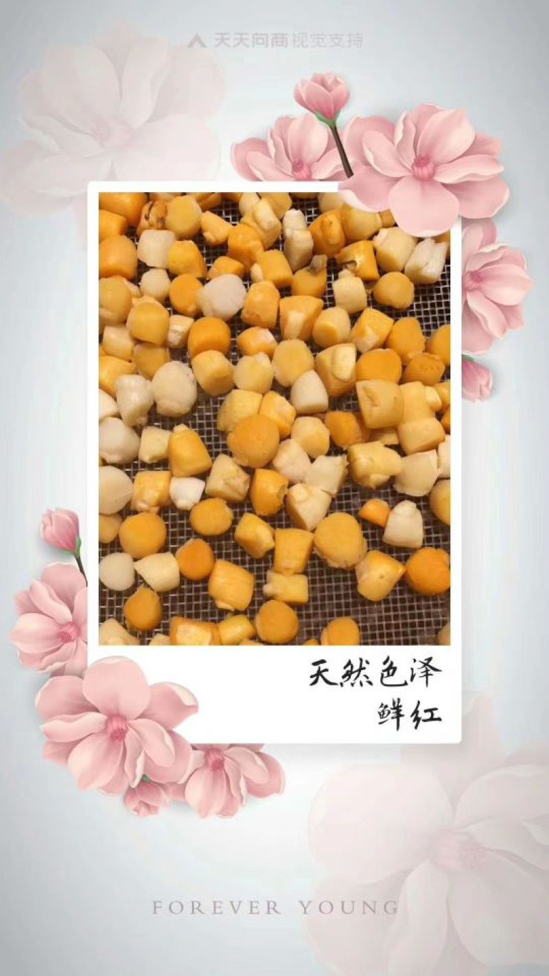 干瑶柱