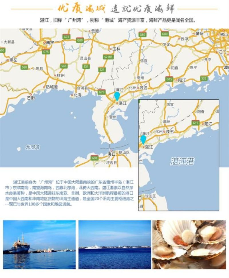 干瑶柱
