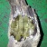 金丝楠乌木工艺雕刻