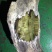 金丝楠乌木工艺雕刻