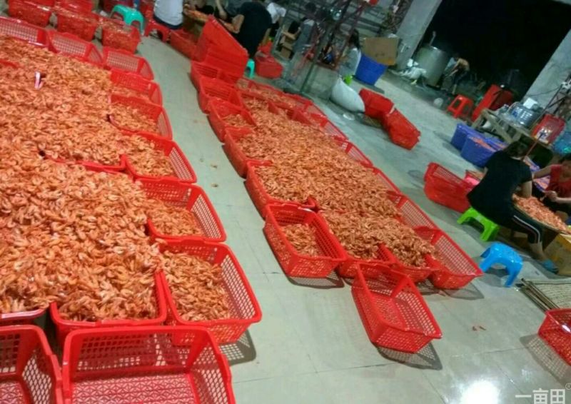 虾干一级