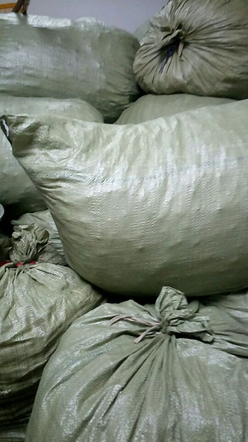 陈皮红桔个