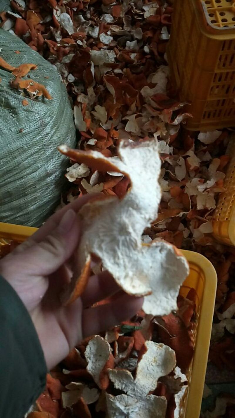 陈皮红桔个