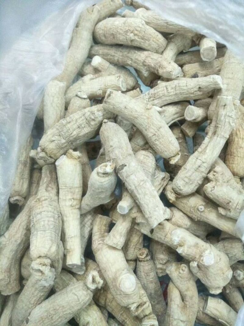 西洋参西洋参直条