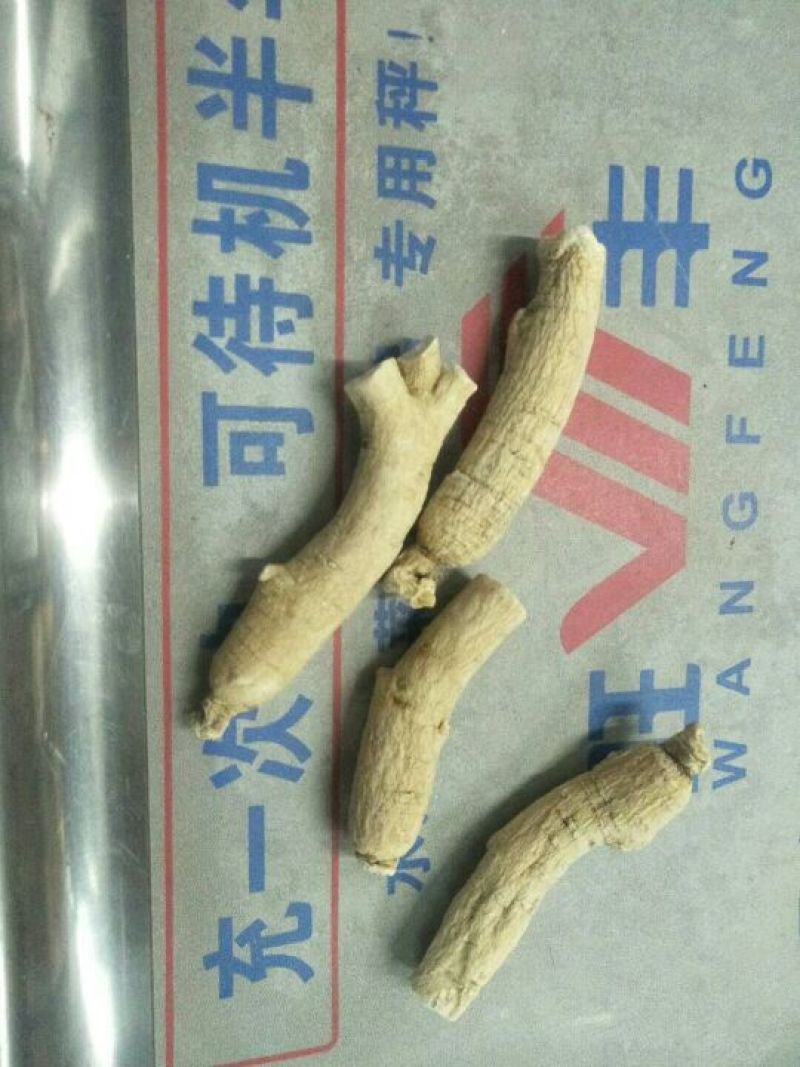 西洋参西洋参直条