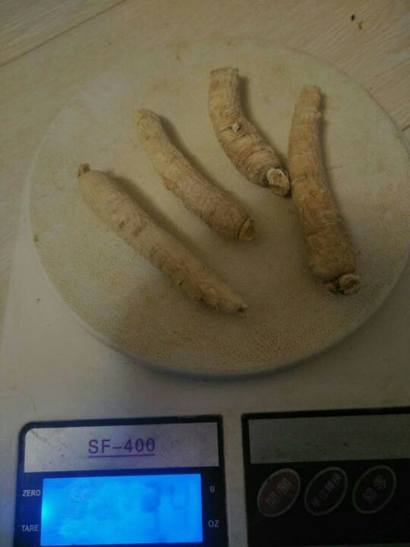西洋参西洋参直条