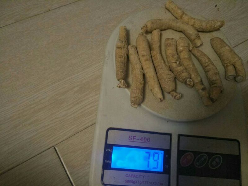 西洋参西洋参直条
