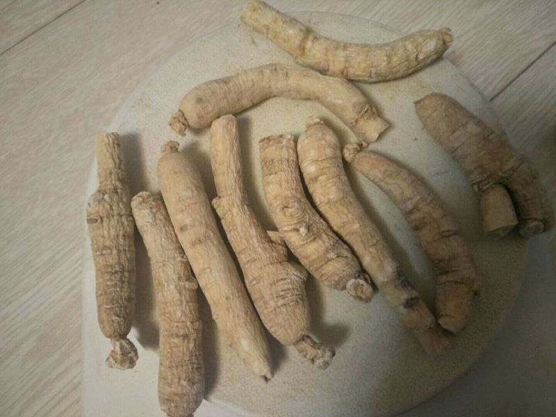 西洋参西洋参直条