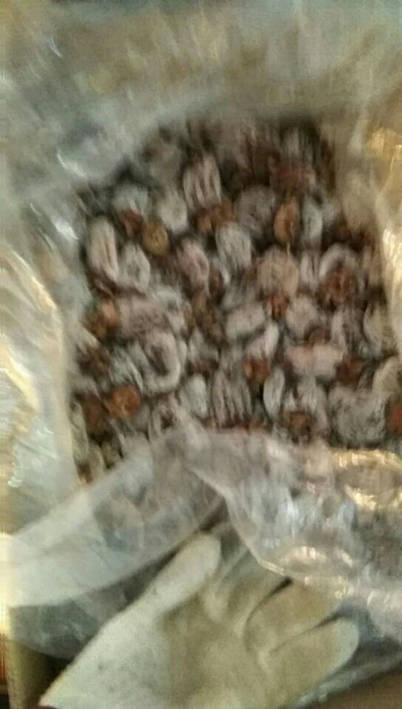 柿饼1两以下