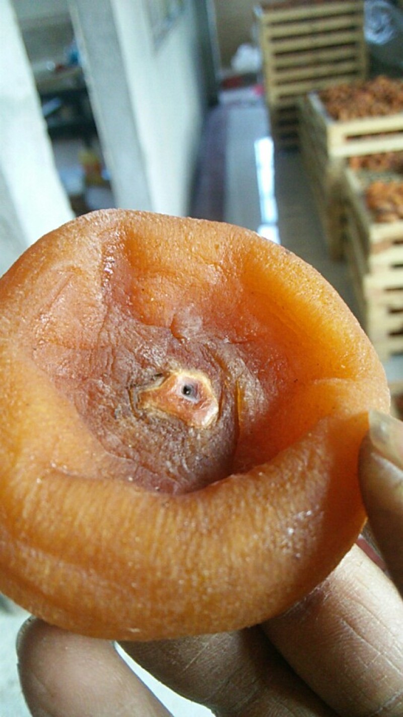 柿饼1~2两