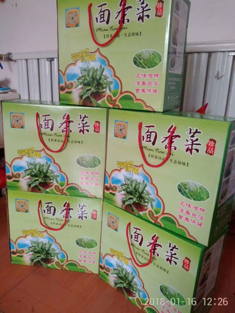 面条菜精品礼盒装面条菜