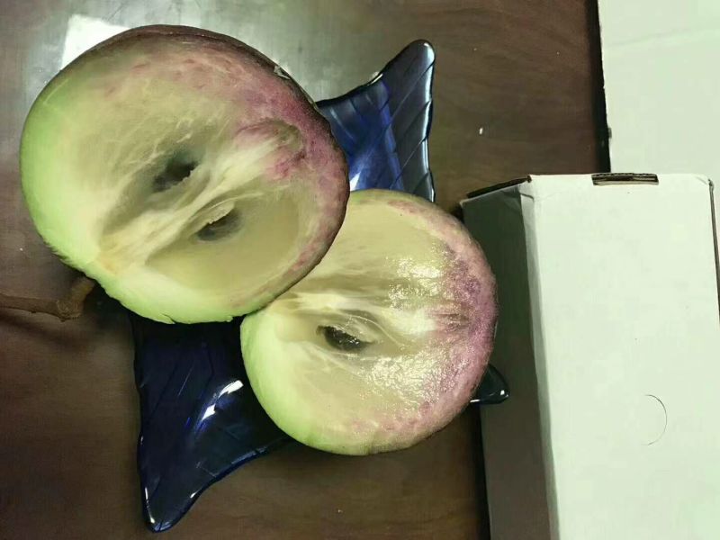 牛奶果3~6两一级果