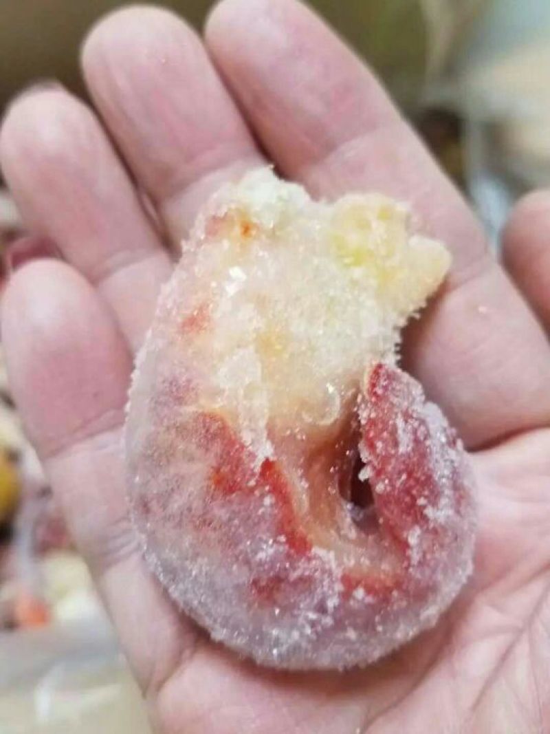 虾尾