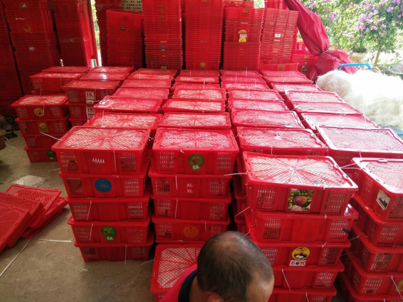无花果70~80g