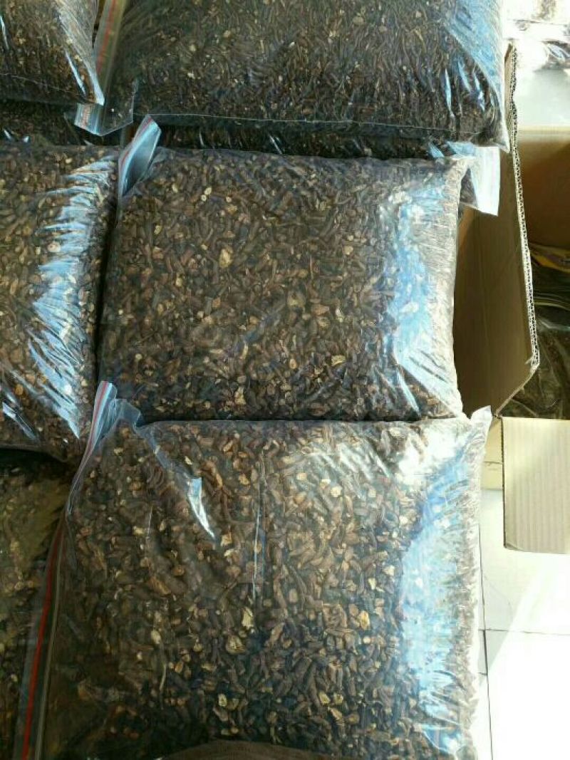 蒲公英茶蒲公英根茶