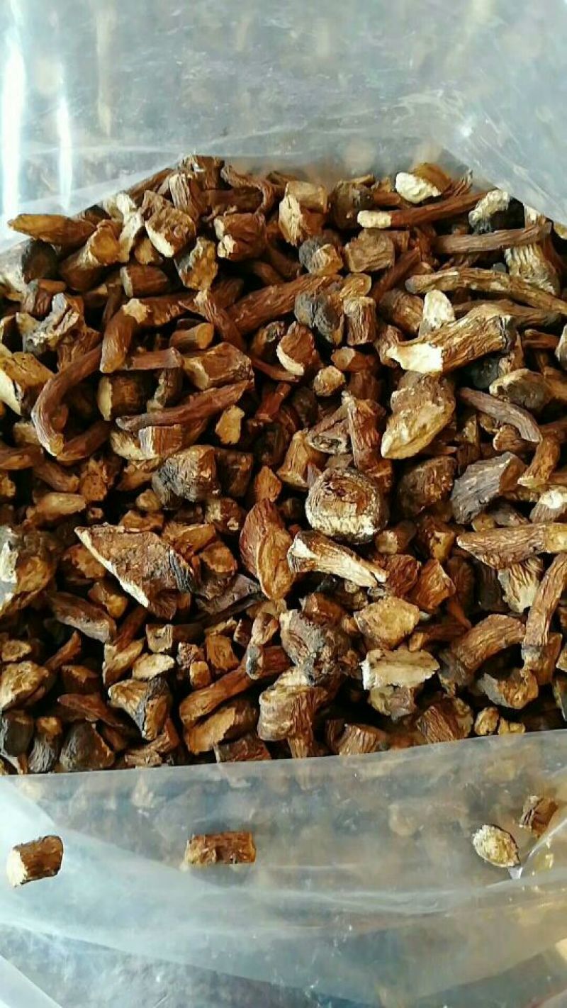 蒲公英茶蒲公英根茶