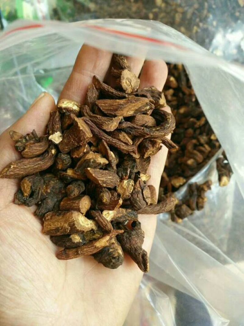 蒲公英茶蒲公英根茶