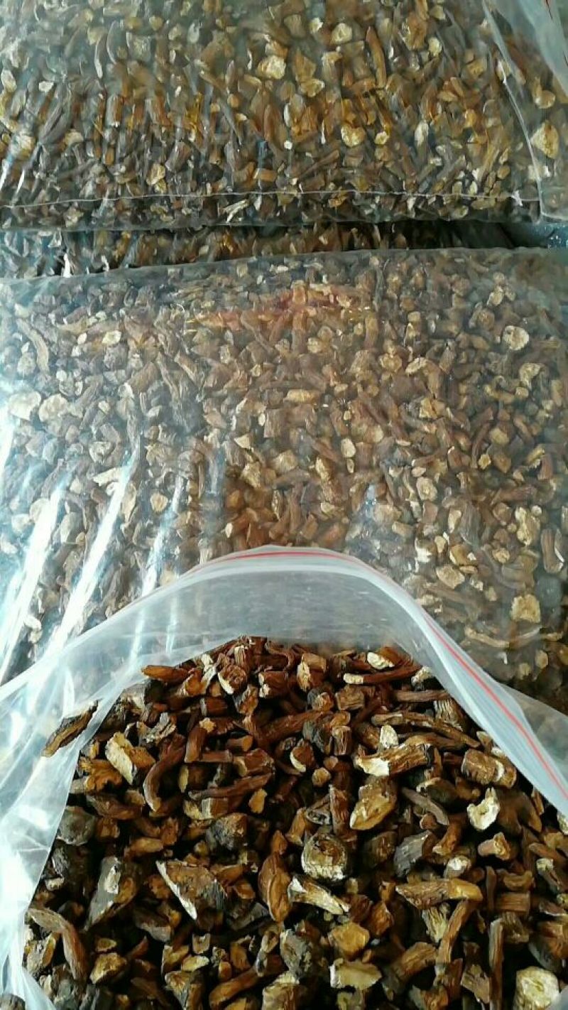 蒲公英茶蒲公英根茶