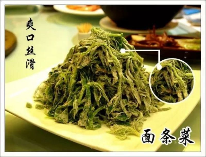 面条菜10cm以下精品包装！送礼佳品！欢迎订购！