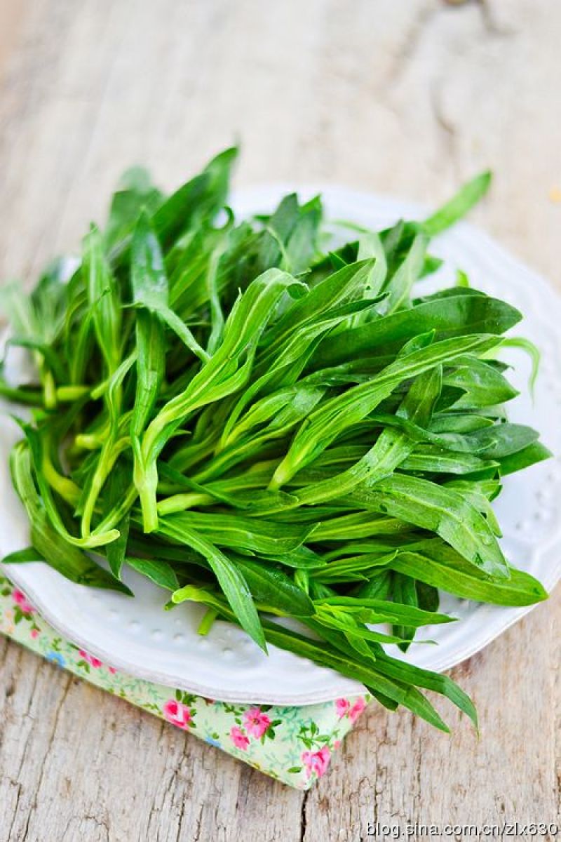 面条菜10cm以下精品包装！送礼佳品！欢迎订购！