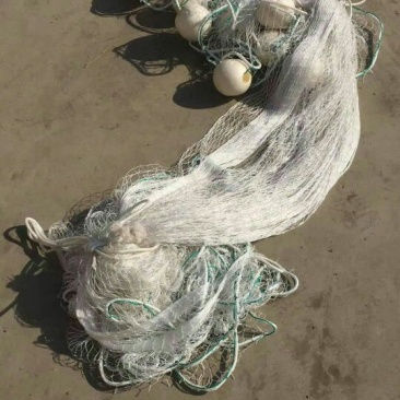 江苏宿迁沭拉水产捕捞机械-渔网大量供应价格便宜