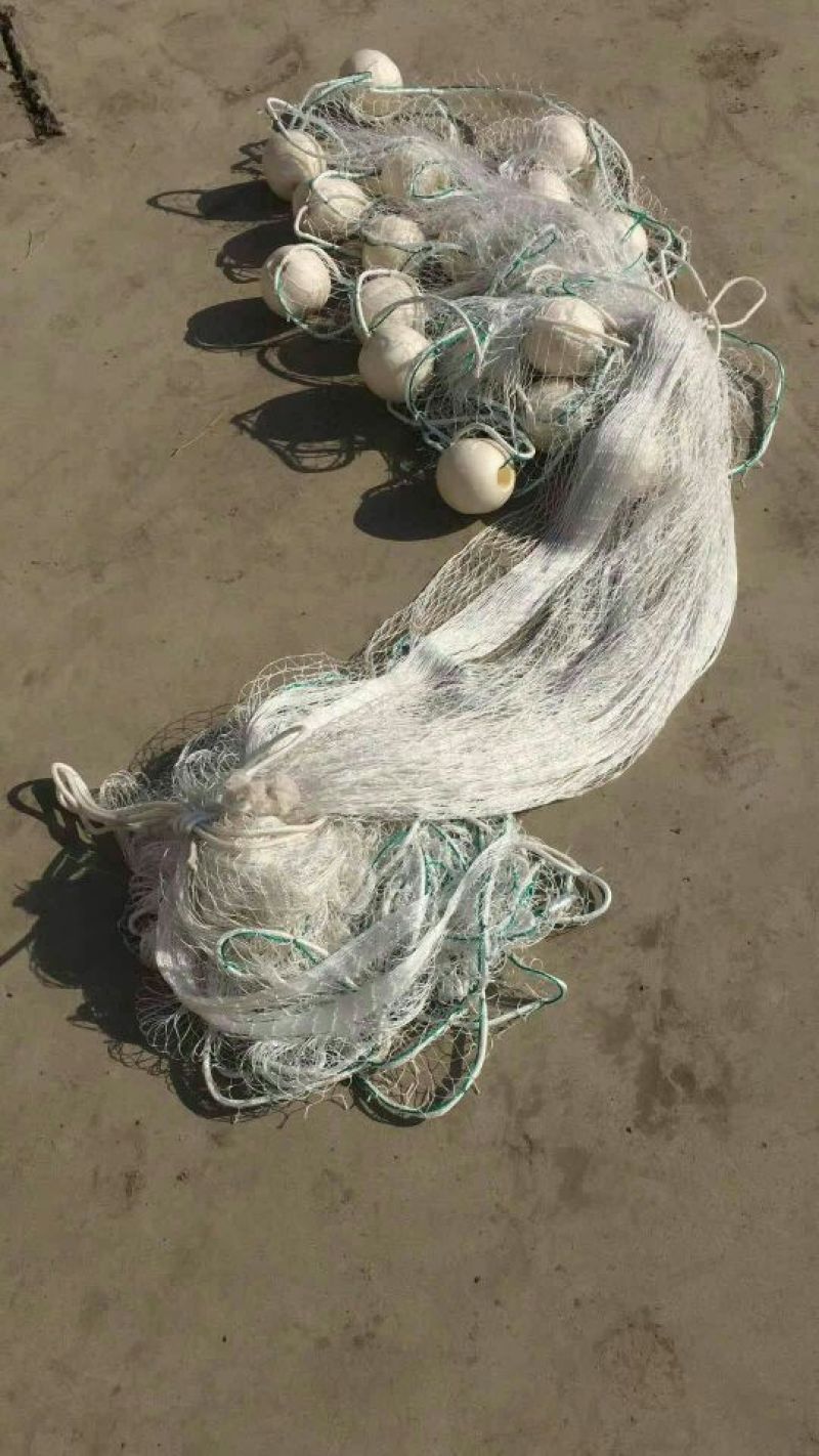 江苏宿迁沭拉水产捕捞机械-渔网大量供应价格便宜