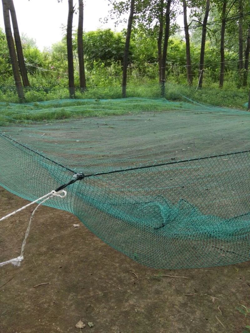 江苏宿迁沭拉水产捕捞机械-渔网大量供应价格便宜