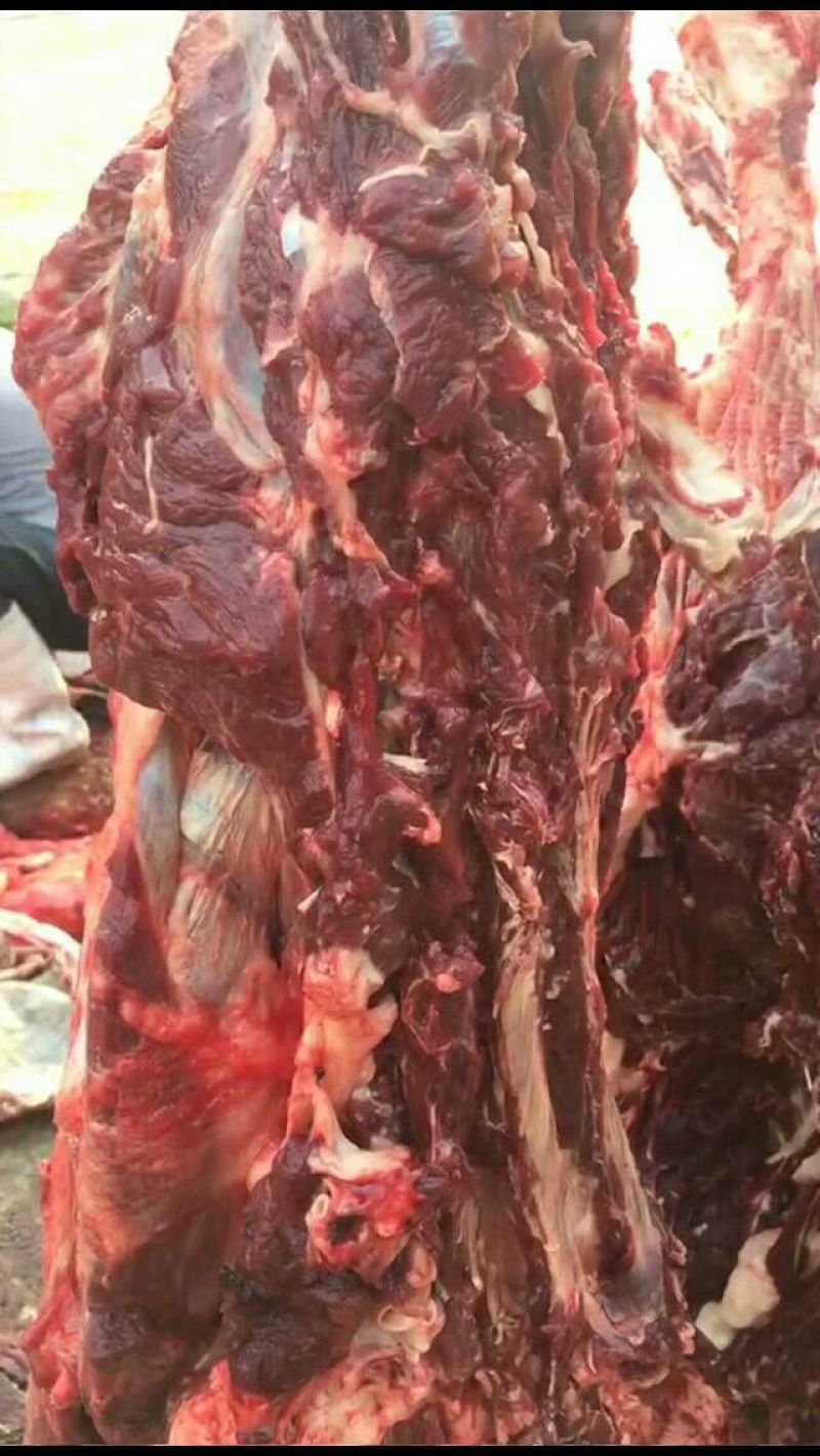 正宗驴肉，带皮驴肉，五分体带骨白条，驴副产品