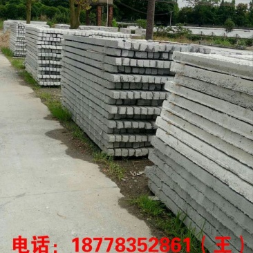 黄金百香果50~60g黄果