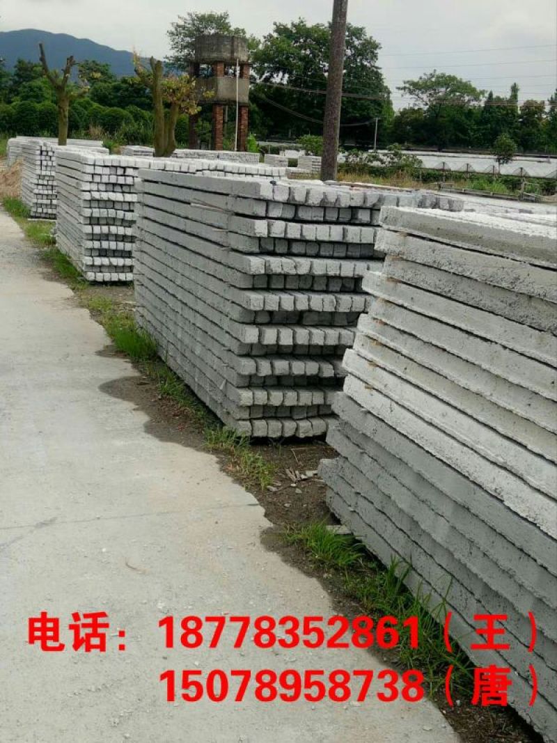 黄金百香果50~60g黄果
