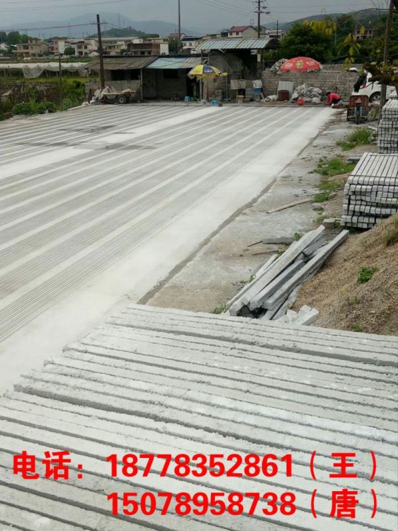 黄金百香果50~60g黄果