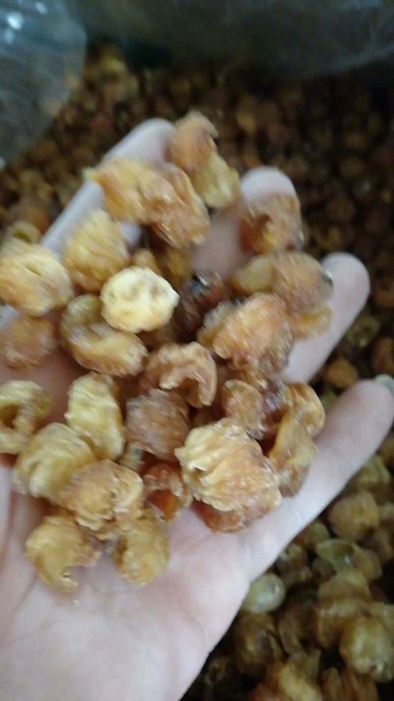 大新石硖桂圆广西元肉