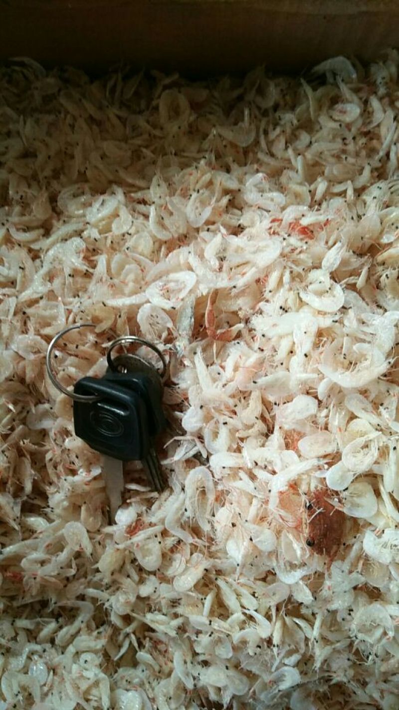 虾皮特级虾皮营养高