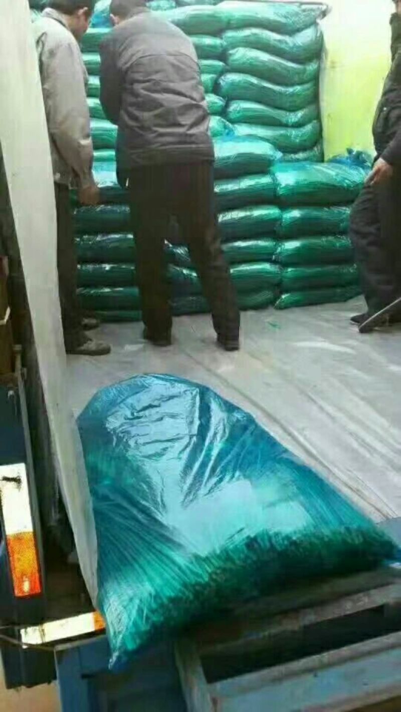 蒜苔金乡蒜苔红帽蒜苔质量好价格低