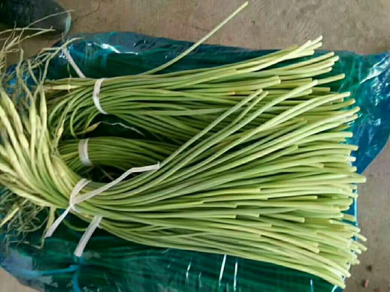 蒜苔金乡蒜苔红帽蒜苔质量好价格低